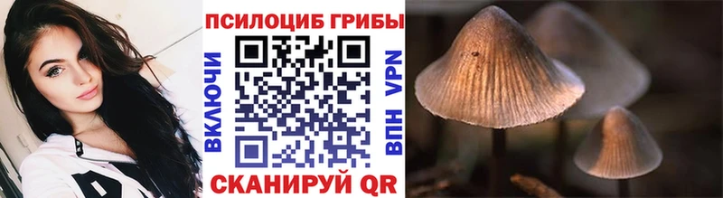 Псилоцибиновые грибы Magic Shrooms  как найти   Обь 
